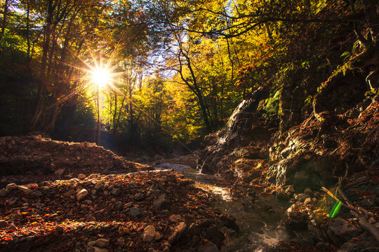 Central Balkan National Park, Balkan Mountains, Bulgaria - October 2022: Damla Dere ravine