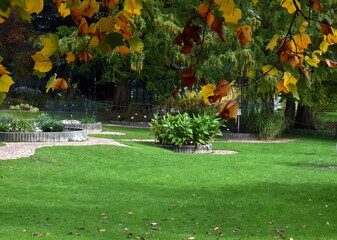 Botanischer Garten in Freiburg im Herbst