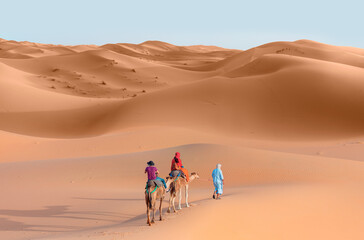 A woman in a red turban riding a camel across the thin sand dunes of the in Western Sahara Desert, Morocco, Africa