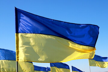 Lot of Ukraine flag fluttering in wind. Heroic struggle of Ukrainian people against Russian war. Constitution, Independence, Flag, Defender Day Ukraine