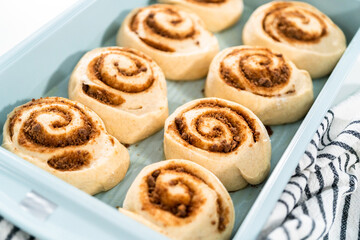 Cinnamon rolls