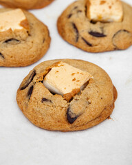 Delicious chocolate chip cookie with marshmallow, S'mores