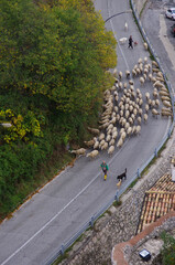 Pacentro (AQ) Abruzzo - With winter just around the corner, the shepherds leave for the transhumance to reach the warmest places along the tratturi of Abruzzo, Molise and Puglia