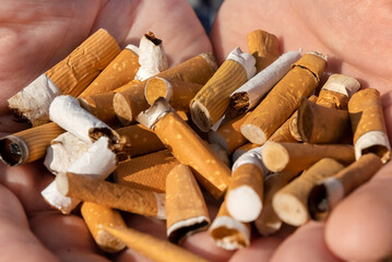 Hands holding smoked and broken cigarettes. Smoking harms a person's health. Cigarettes