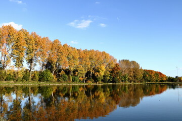 autumn colors in parc Schoonhoven, Aarschot.