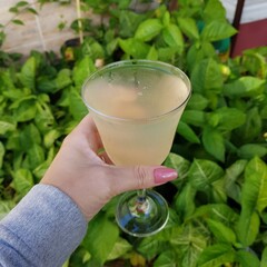 Female hand holding a lime lowcarb drink alcoholic- free. Relaxation and chill out time for a healthy life.  