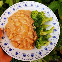 Low carbohydrate meal with Brazilian Chicken Stroganoff and  boiled brocoli for a healthy life. Paleo food. Simple lowcarb meal.