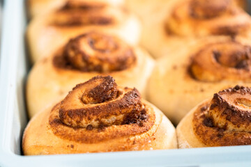 Cinnamon rolls