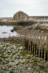 polluted space in a port of spain with green rocks