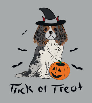 Dog Halloween greeting card with a sitting Cavalier King Charles Spaniel dog. Dog in a costume, pumpkin in a paw. Postcard for pet lovers. Pet character postcard art. Funny dog mascot. Witch spooky.