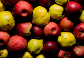 Red and Yellow Apples