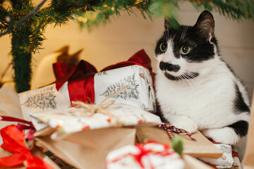 Cute cat sitting on stylish christmas gifts under christmas tree. Pet and winter holidays. Adorable kitty relaxing on wrapped presents in festive decorated christmas room