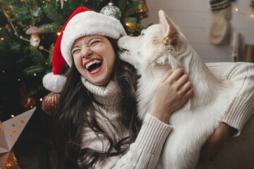 Merry Christmas! Happy woman in santa hat hugging cute dog at stylish christmas tree. Pet and winter holidays. Adorable funny white danish spitz dog playing with owner in festive room