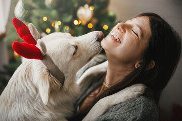 Cute dog in reindeer antlers playing with owner at stylish christmas tree. Pet and winter holidays....