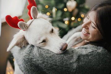 Merry Christmas! Cute dog in reindeer antlers playing with owner at stylish christmas tree. Pet and winter holidays. Happy woman hugging adorable funny white danish spitz in festive room