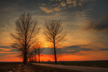 Landscape road and trees red sky in sundown, dark warm sky, Poland Europe