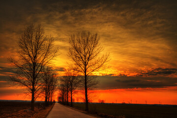 Landscape road and trees red sky in sundown, dark warm sky, Poland Europe