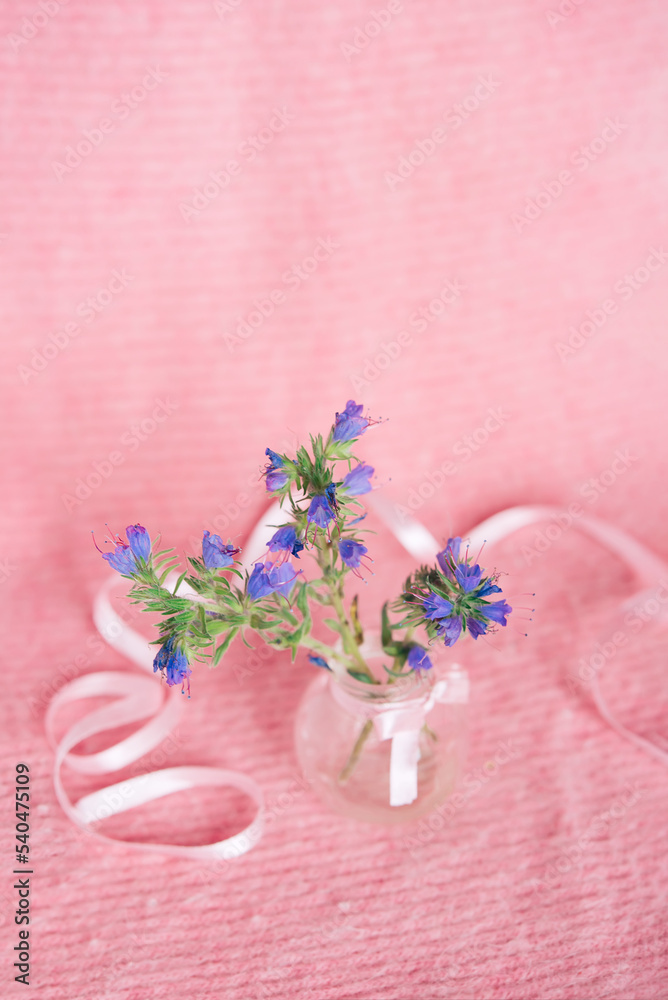 Poster Flowers and ribbon on a pink background. Card.