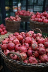 Harvest of ripe pomegranate in wicker baskets at outdoor farmers market in Tbilisi Georgia. Vegetarian healthy food