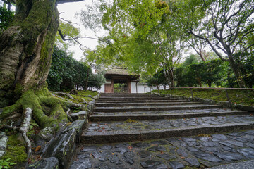 緑深い雨上がりの安楽寺 山門 京都市