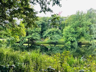 lake in the park