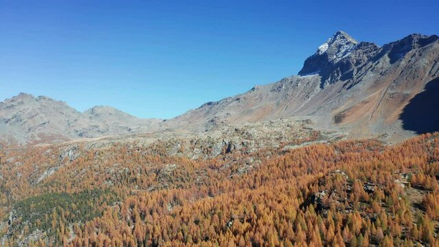 Aerial 4K, Valmalenco in Italy, autumn view under the Pizzo Scalino