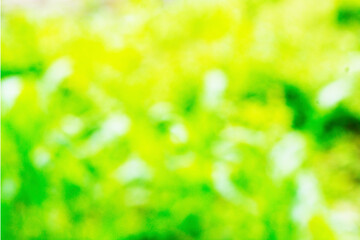 Obraz premium green background