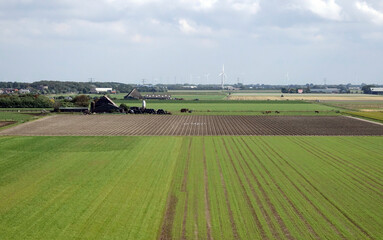 Fototapeta na wymiar Farmerland behind the dikes of Noord-Holland