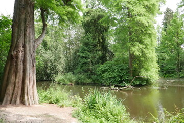 Natur auf der Insel Hombroich