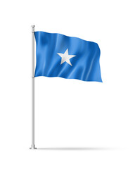 Somalian flag isolated on white