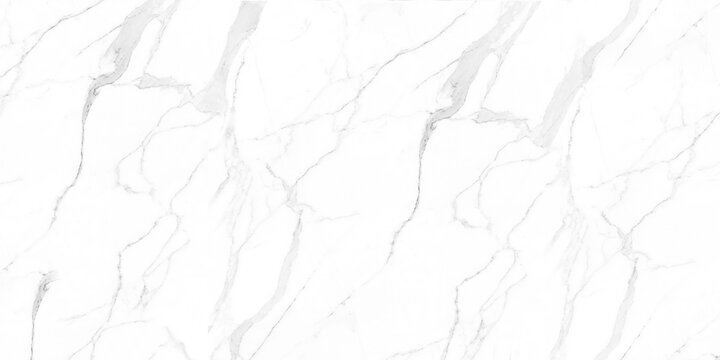 calacatta glossy marble with grey streaks, satvario tiles, bianco superwhite, italian blanco catedra stone texture