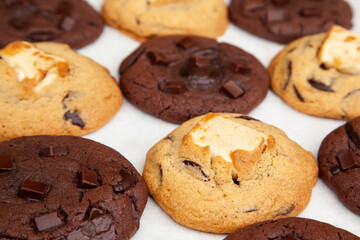Double chocolate cookie and marshmallow soft cookie on white background
