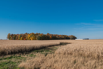 Obraz premium Country Barn