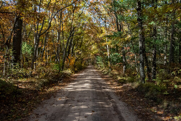 Fototapeta na wymiar Time in the Fall, Autumn Roads of Michigan, Corn Fields