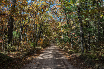 Dirt Road in Autumn