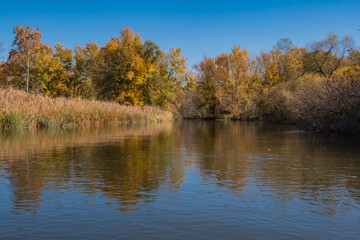 Fototapeta na wymiar Kalamazoo River, Michigan - October Collection