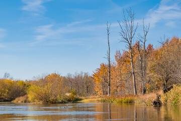 Kalamazoo River, Michigan - October Collection