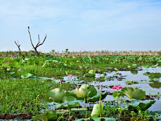 Kakadu Nationalpark