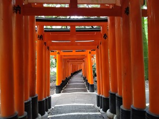 千本鳥居