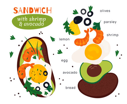 Cartoon Sandwich Recipe Elements. Different Tasty Ingredients. Avocado And Shrimps. Quick Snack Constructor. Bruschetta With Vegetables And Egg. Garish Vector Meal Preparation Instruction