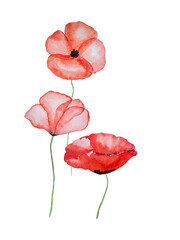 Remembrance Day. Beautiful picture with poppy flowers. Close-up, top view. National holiday concept. Congratulations for family, relatives, friends and colleagues