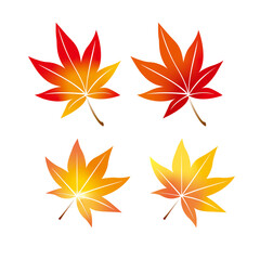 Naklejka na ściany i meble 紅葉、もみじ、秋、葉、木の葉、季節、四季
