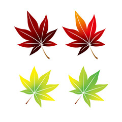 Fototapeta premium 紅葉、もみじ、秋、葉、木の葉、季節、四季