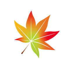 紅葉、もみじ、秋、葉、木の葉、季節、四季