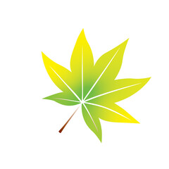 紅葉、もみじ、秋、葉、木の葉、季節、四季