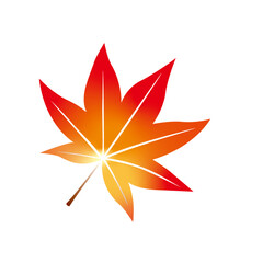 紅葉、もみじ、秋、葉、木の葉、季節、四季