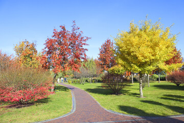 Autumn park in Mezhyhirya (former ex-president residence of President Yanukovych) in Kyiv region, Ukraine