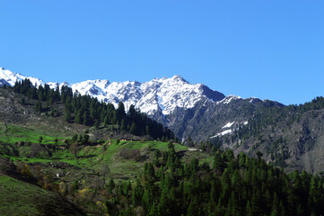 Traditional rural architecture and family livestock farms in the Swat valley.