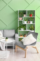 Interior of stylish living room with shelving unit, houseplants, sofa and armchair