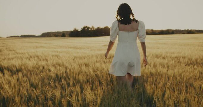 Beautiful Ukrainian young woman walking alone in yellow wheat meadow. Brunette girl in peace with summer nature. Relax freedom concept. Peaceful happy Ukraine. Floral landscape outdoors 4k slow motion